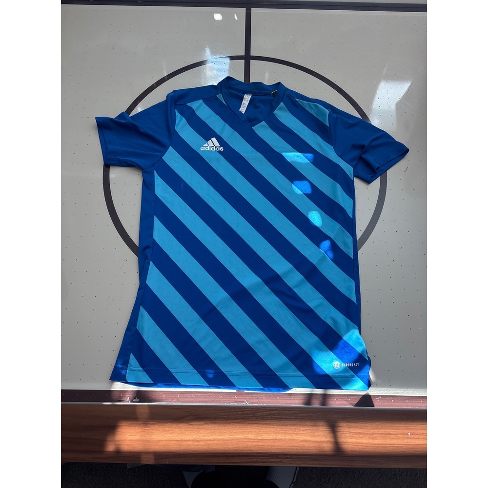 Adidas Mens Entrada 22 Graphic Jersey Blue Striped Soccer Shirt Medium HG6288